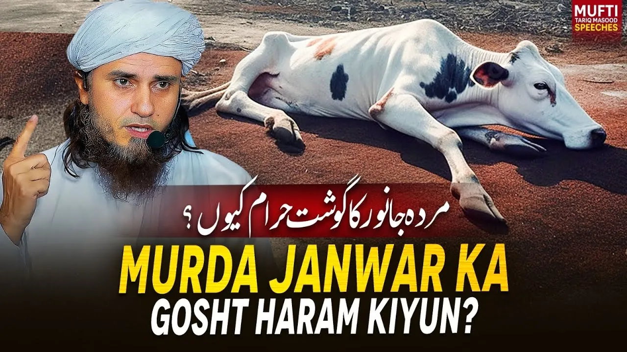 Murda Janwar Ka Gosht Haram Kiyun  | Mufti Tariq Masood Speeches